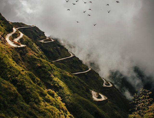 pexels-hfahad337-3037435