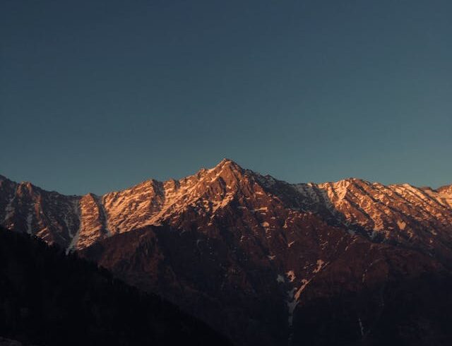 pexels-manavraj-7855837